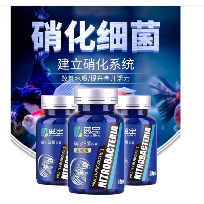 升級版50粒裝 加強升級版 藍寶硝化菌膠囊 污水淨化硝化細菌 魚缸水族箱濃縮硝化菌乾粉膠囊 穩定水質 水族藥劑 淨化水質
