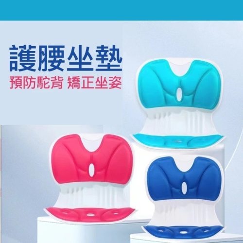 坐墊 護腰坐墊 防駝背 腰靠坐墊