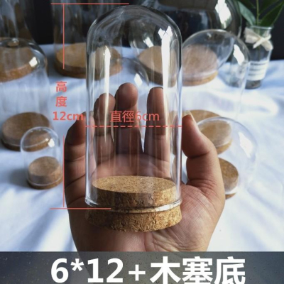 6*12玻璃罩 軟木塞玻璃罩 微景觀玻璃罩