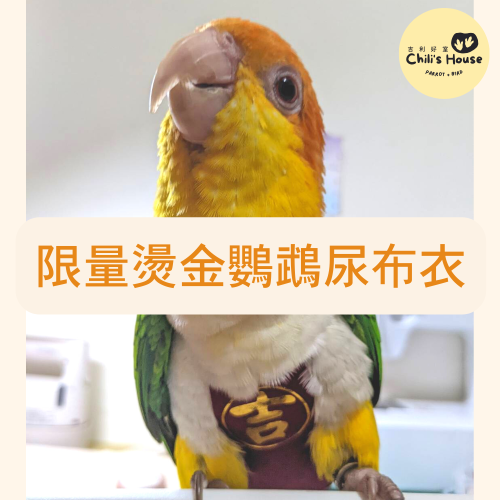 燙金姓名尿布衣-限量製作-來看看有沒有您家鳥寶的名字喔