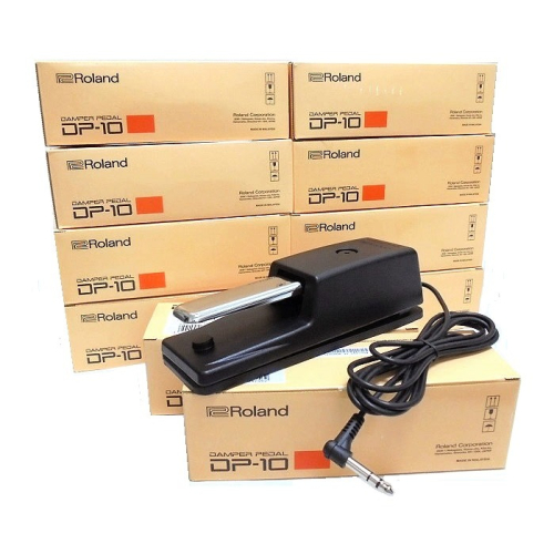 全新 日本 羅蘭 Roland DP-10 延音踏板 電子琴 電鋼琴 數位鋼琴 原廠公司貨 DP10
