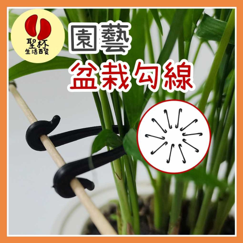 園藝盆栽勾線 植物勾線 紮線 固定線 瓜果植物固定夾 蔬菜番茄藤蔓類植物 快速卡扣 園藝用品 菜園蔬菜植物【P0553】