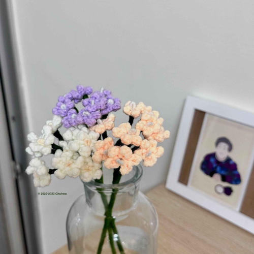 Babys-breath. 滿天星