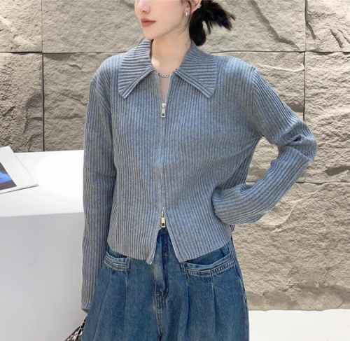 DearGod正韓女裝歐洲站2022秋季新款POLO領拉鍊長袖純色短款顯瘦坑條羊毛針織開衫